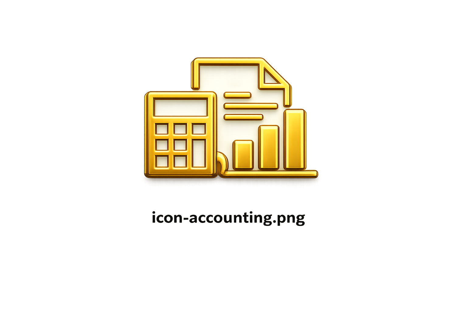 Accounting icon